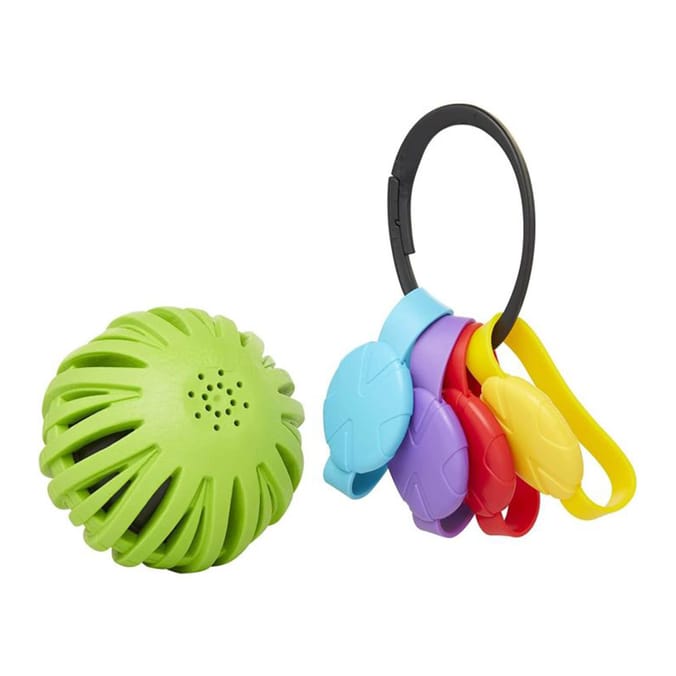 Colour Catch Countdown