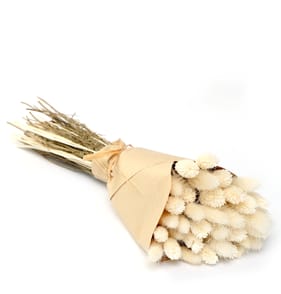 Home Collections Dried Flower Bunch - Cream