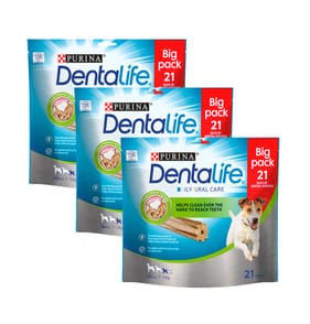 Dentalife Small Dog Treat Dental Chew 3 x 21 Stick Pack