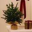 Festive Feeling Pine Table Tree