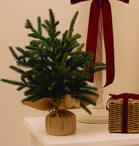 Festive Feeling Pine Table Tree