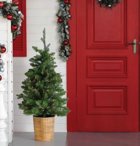 Festive Feeling Pre-Lit Battery Operated Potted Tree 3ft