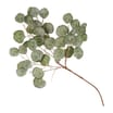 Home Collections Eucalyptus Pick