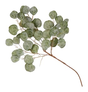 Home Collections Eucalyptus Pick - Green