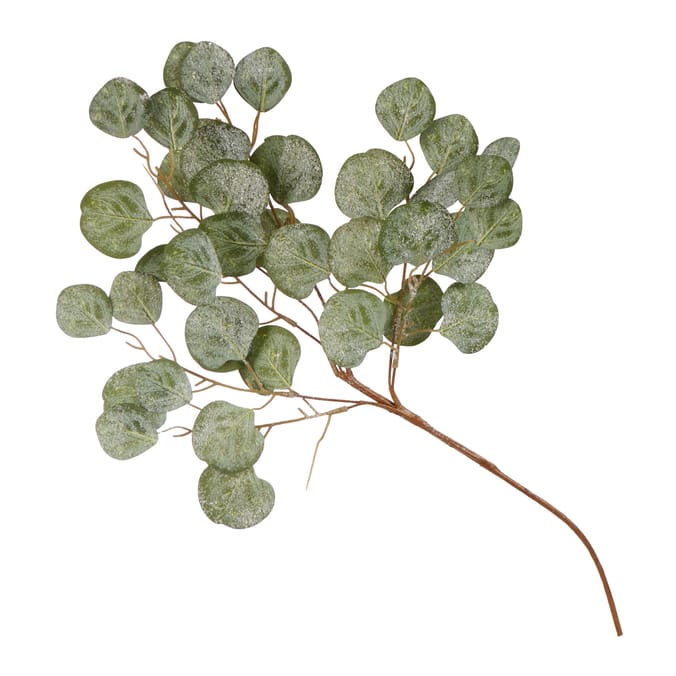 Home Collections Eucalyptus Pick