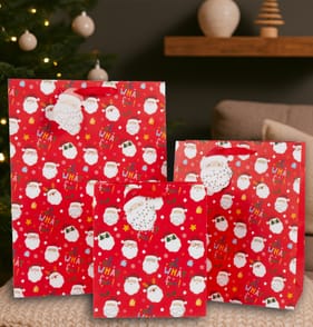 Festive Feeling Gift Bag Set - Santa