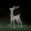 Prestige LED 110cm Reindeer