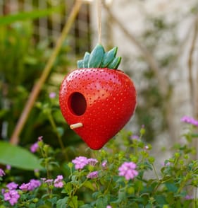 Jardin Polyresin Fruit Bird House - Strawberry 