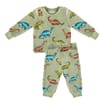 Boys Dinosaur Fleece Pyjama Set