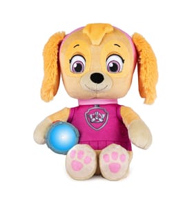 Paw patrol walkie 2024 talkies home bargains