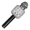 Equatech 3in1 Karaoke Machine with Flashing Lights