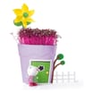 Peppa Pig Grow & Play Pots - Suzy