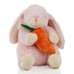 Bunny Rabbit Plush