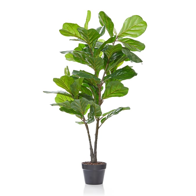 Home Collections Fiddle Leaf Tree 120cm