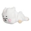 BT21 Baby Mini Pillow Cushion - RJ