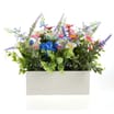 Spring Window Box - Blue