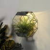 Firefly Octagonal Wall Planter Solar Light