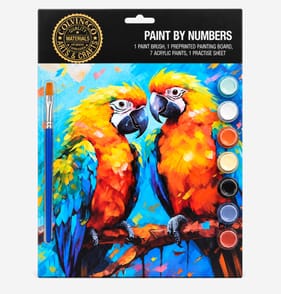Colvin & Co Paint By Numbers