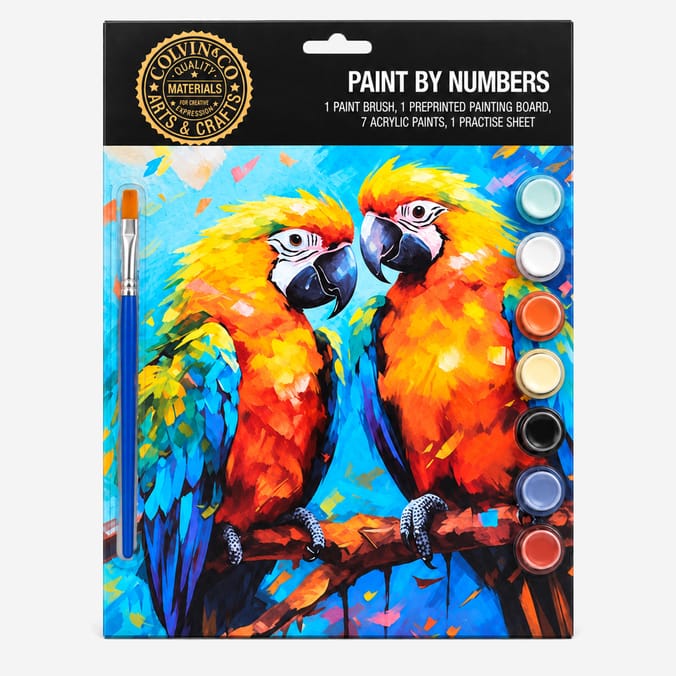 Colvin & Co Paint By Numbers