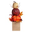 The Lifestyle Edit Harvest XL Stacking Pumpkins