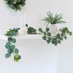 Home Collections Eucalyptus Garland