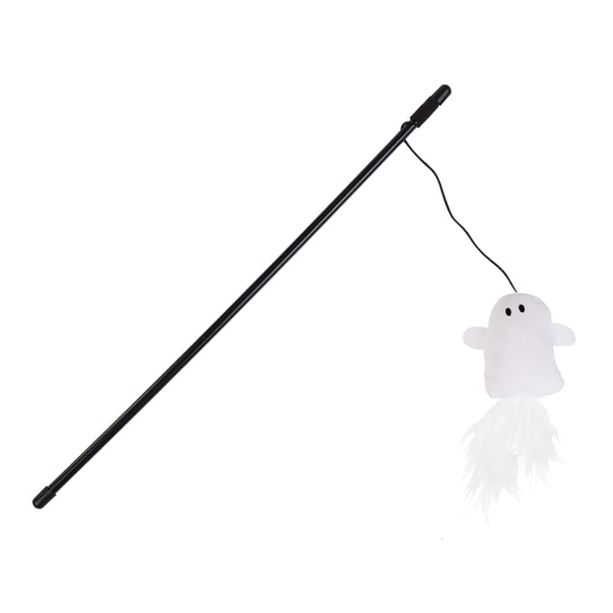 My Pets Halloween Cat Teaser