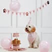 Let's Party Pet Birthday Kit