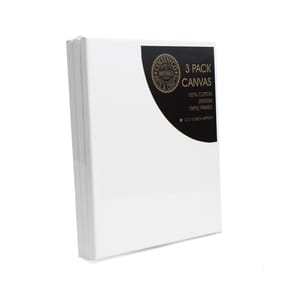 Colvin & Co Artists 30x25cm Canvas 3 Pack