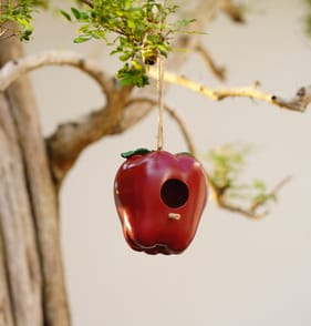  Jardin Polyresin Fruit Bird House - Apple