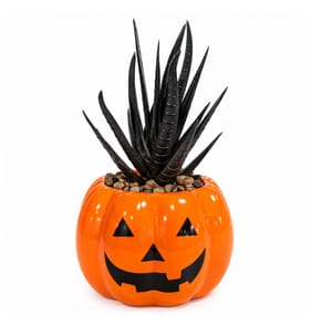 Mini Artificial Halloween Plant - Pumpkin