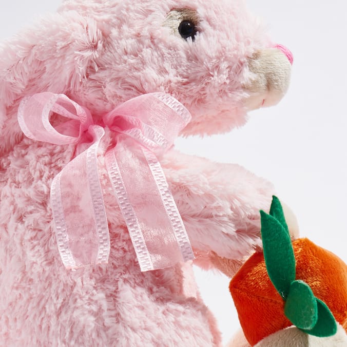 Home bargains rabbit food top