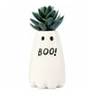 Mini Artificial Halloween Plant - Ghost