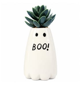  Mini Artificial Halloween Plant - Ghost  