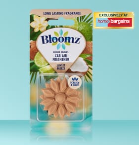Bloomz Car Air Freshener - Sunset Breeze