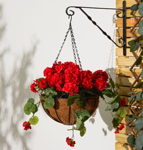 Jardin Geranium Hanging Basket - Red