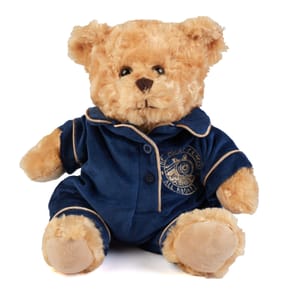 The Polar Express Plush Bear In Blue Pjs
