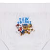 Paw Patrol Kids Briefs 5 Pack