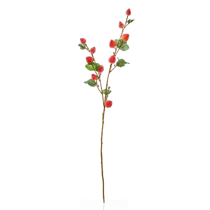 Home Collections Berry Pick 