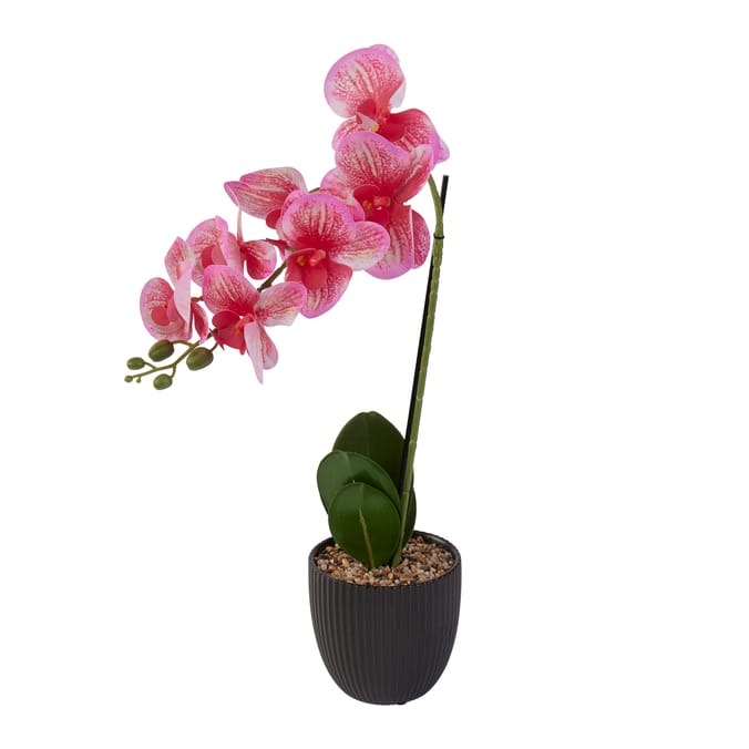  Home Collections Real Touch Pink Orchid In Black Pot