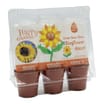 Happy Gardens Grow Your Own Trio - Sunflower Race