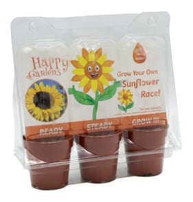 Happy Gardens Grow Your Own Trio - Sunflower Race