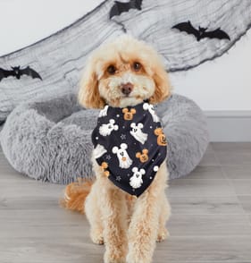 Mickey And His Friends Halloween Pet Bandana  