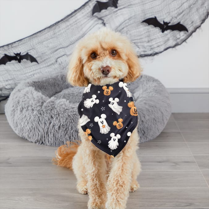 Mickey And His Friends Halloween Pet Bandana  