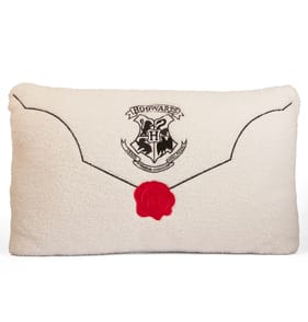Harry Potter Envelope Cushion