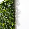 Jardin 4 Artificial Foliage Panels