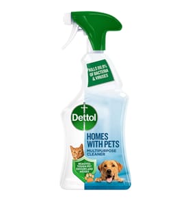 Dettol Multipurpose Cleaner 750ml - Homes with Pets Fresh Breeze