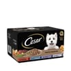 Cesar Hearty Casserole Adult Wet Dog Food Mixed Trays 8 x 150g