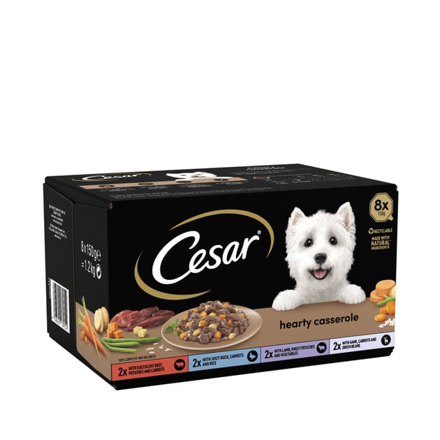 Cesar Hearty Casserole Adult Wet Dog Food Mixed Trays 8 x 150g Home
