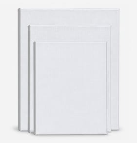 Colvin & Co Artists Canvas Assorted 3 Pack