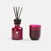 Wickford & Co Scented Reed Diffuser Gift Set